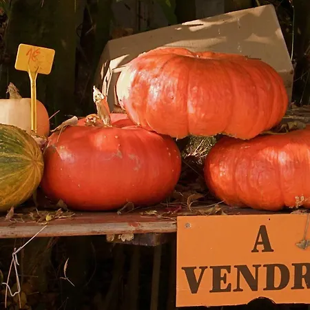 Le Verdelay La Menitré